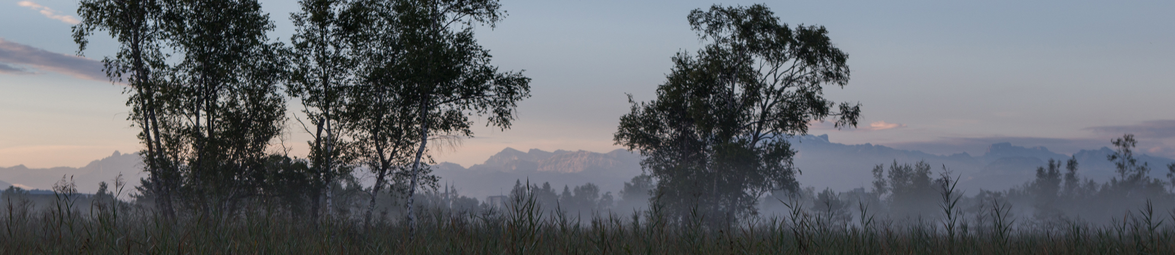 Landschaft